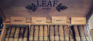 LEAF by Oscar Cigars